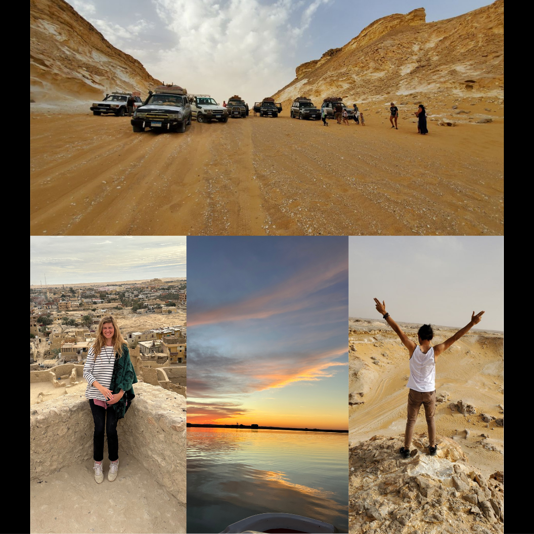 The Origins Starseeds Retreat: Connect to Self and the Natural World: Brochure